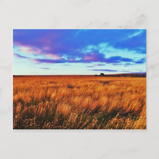 Carte Postale Sunset des Prairies (Devant)