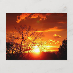 Carte postale Sunset Glory