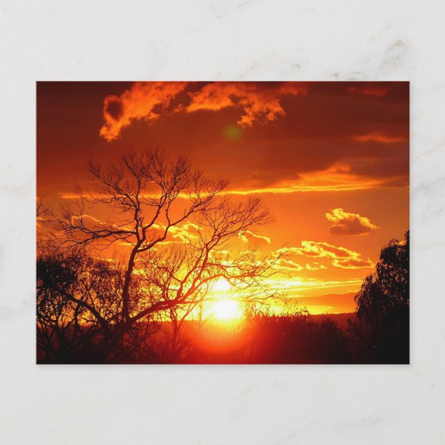 Carte postale Sunset Glory (Devant)