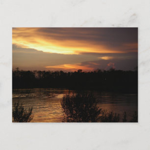 Carte postale Sunset Golden