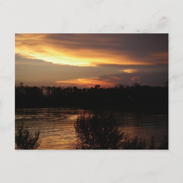 Carte postale Sunset Golden (Devant)