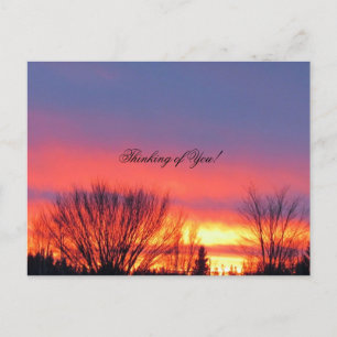 Carte postale Sunset hiver