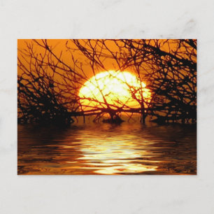 Carte postale Sunset Liquide