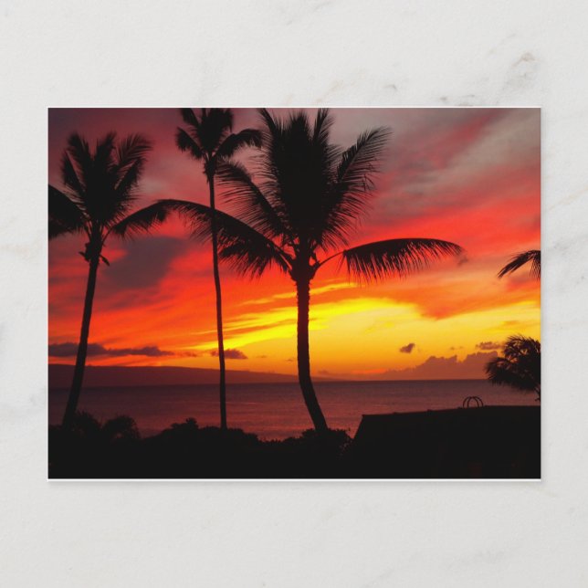 CARTE POSTALE SUNSET MAUI 2 (Devant)