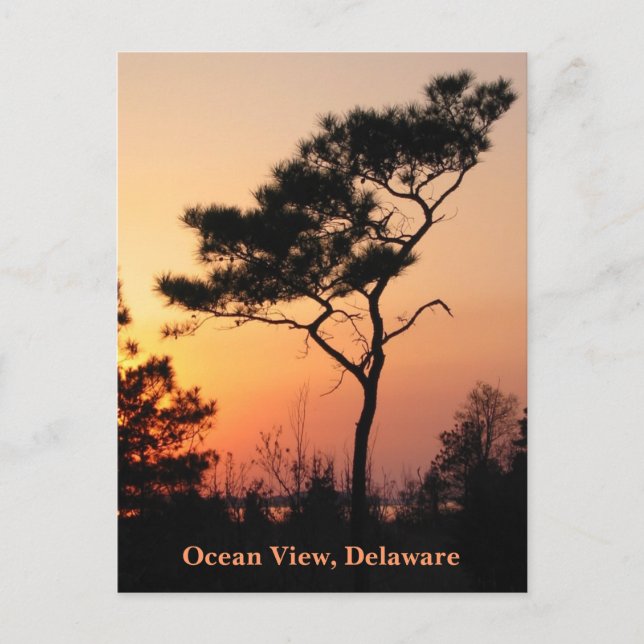 Carte postale Sunset Ocean View (Devant)