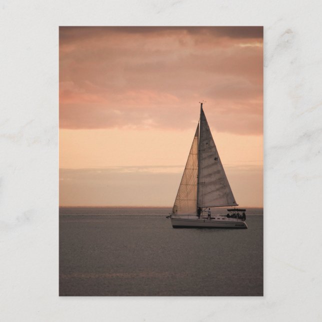 Carte postale Sunset Sail (Devant)
