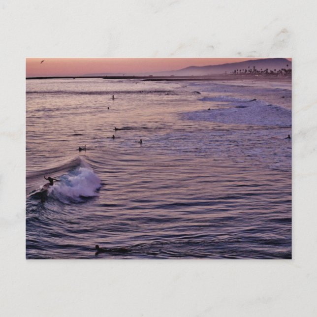 Carte Postale Sunset Surf Oceanside. (Devant)