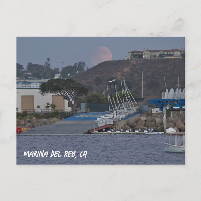Carte Postale Super Moon de récolte - Marina Del Rey, CA (Devant)