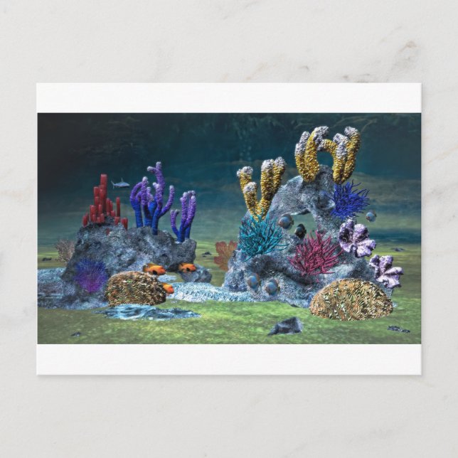 Carte Postale Superbe barrière de corail (Devant)