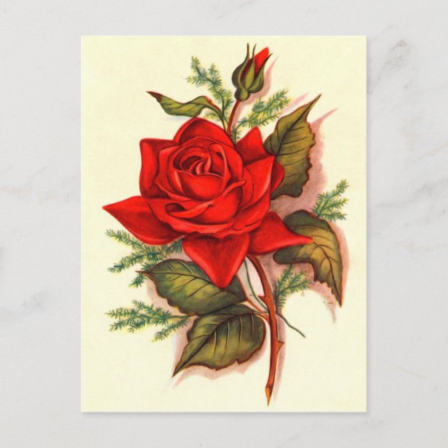 Carte Postale Superbe Bouquet de roses rouges victoriennes (Devant)