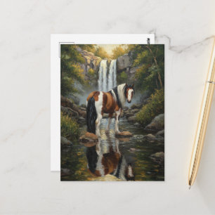 Carte Postale Superbe cheval Pinto à la cascade