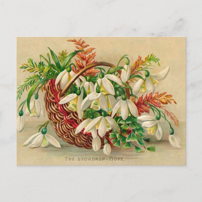 Carte Postale Superbe corbeille de fleurs victoriennes de Snowdr (Devant)