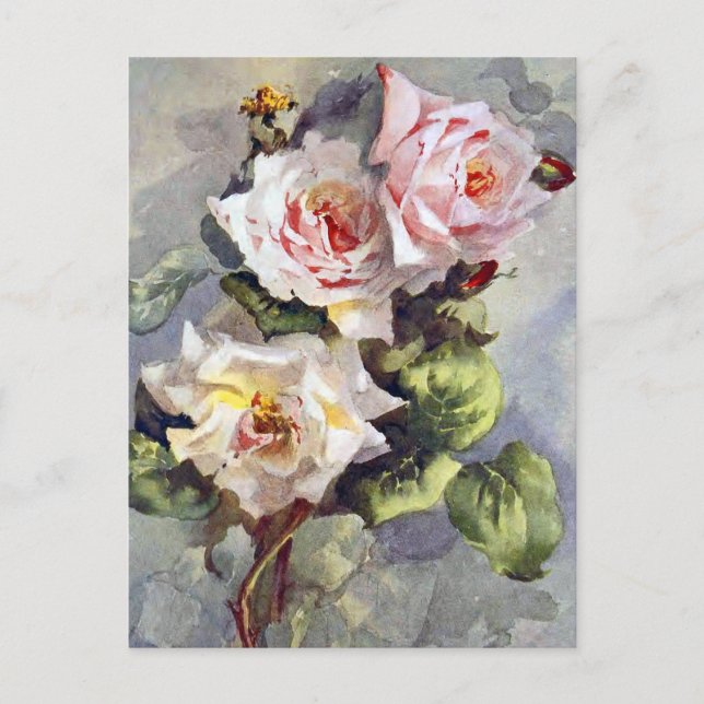 Carte Postale Superbe Elégante Roses Rose Aquarelle Peinture (Devant)