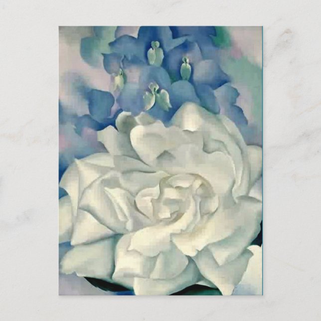 Carte Postale Superbe Georgia O'Keeffe Rose blanche et larkspur (Devant)