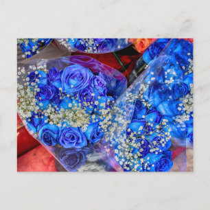 Carte Postale Superbe photo Rose bleue