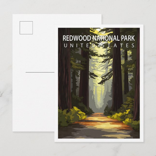 Carte Postale Superbe Place Redwood National Park USA Travel (Devant / Derrière)