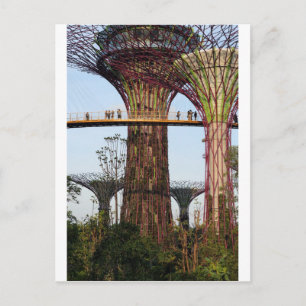 Carte Postale Supertree Grove Gardens By The Bay Singapore