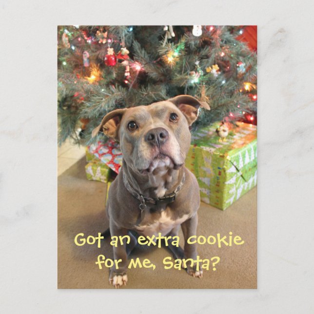 Carte postale supplémentaire de Noël de biscuit de (Devant)