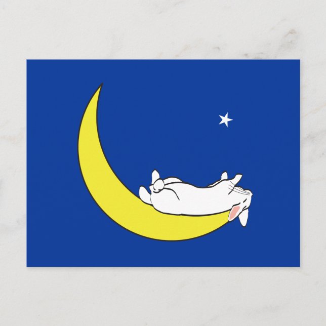 CARTE POSTALE SUR LA LUNE (Devant)