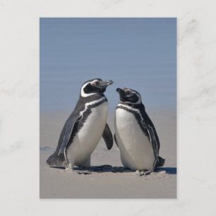 Carte postale sur la plage