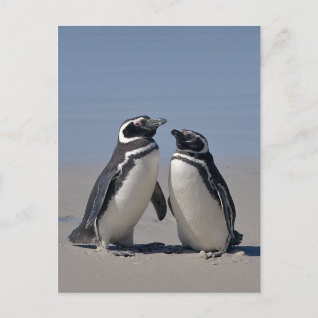 Carte postale sur la plage (Devant)