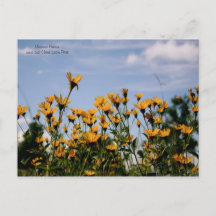 Sur la prairie, prairie du Missouri