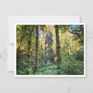 Carte Postale Sur le chemin