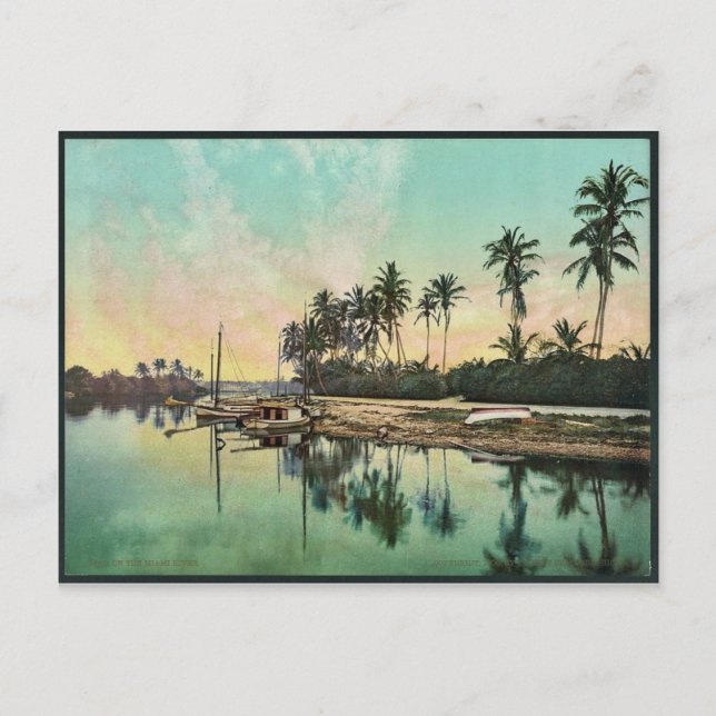 Carte Postale Sur le fleuve Miami, rare Photochrom (Devant)