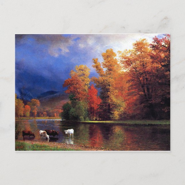 Carte Postale Sur le Saco (Devant)