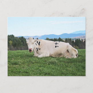 Carte Postale Sur le terrain