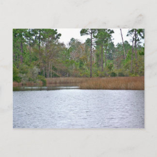 Carte Postale Sur L'Eau
