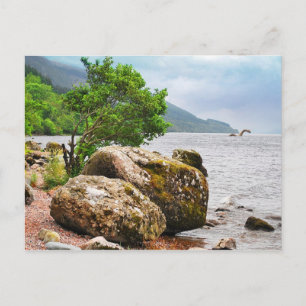 Carte Postale Sur les rivages de Loch Ness avec le monstre