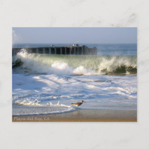 Carte Postale Surf Playa del Rey Oiseaux - Mike Izzo
