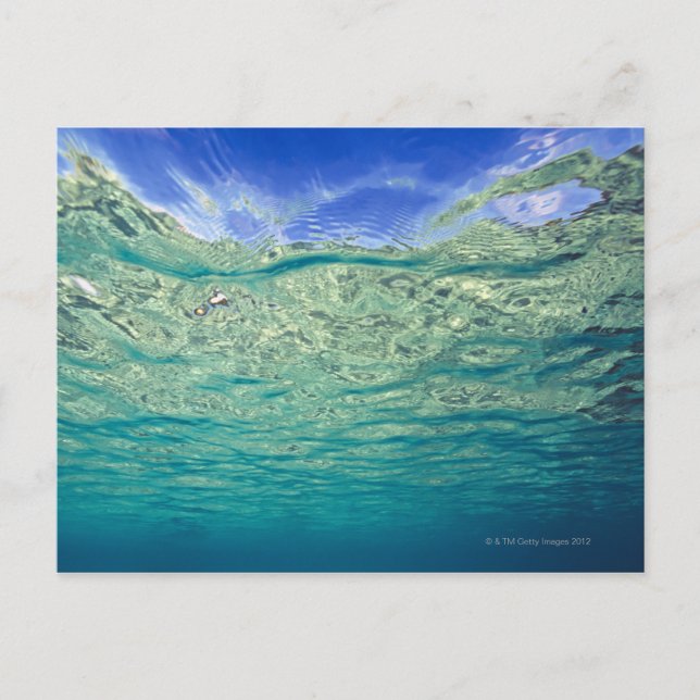 Carte Postale Surface d'une mer topique claire vue de (Devant)