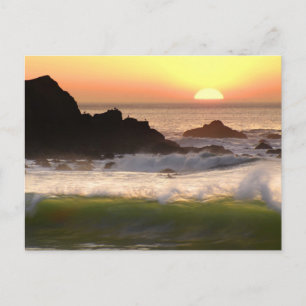 Carte Postale Surfer du coucher de soleil