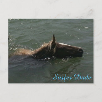 Carte postale Surfer Dude