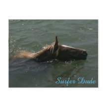 Carte postale Surfer Dude