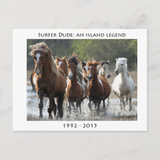 Carte Postale Surfer Et Son Groupe