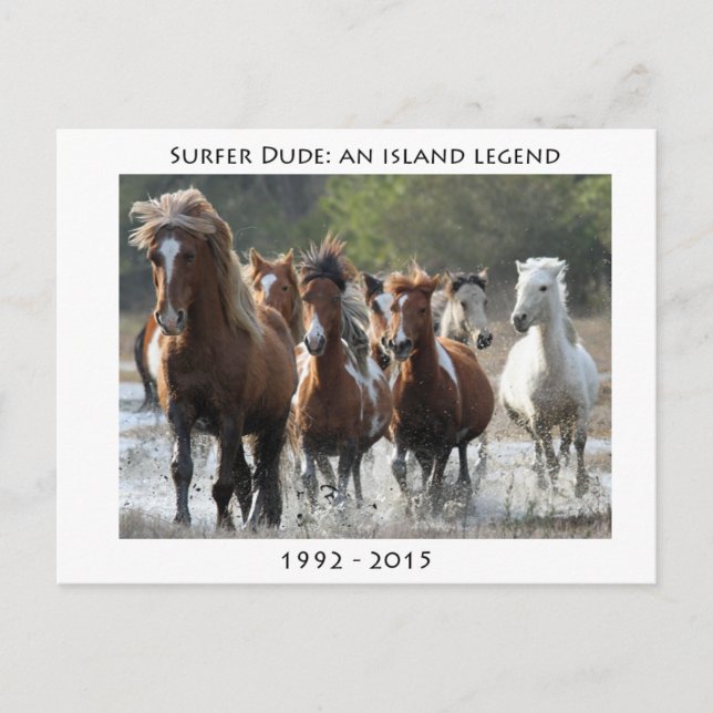 Carte Postale Surfer Et Son Groupe (Devant)