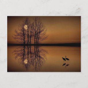 Carte postale surréalisme