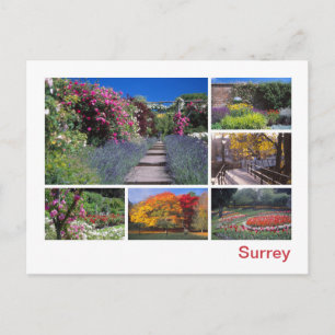 Carte Postale Surrey