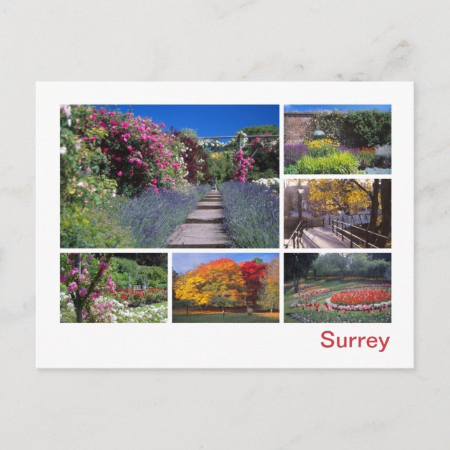 Carte Postale Surrey (Devant)