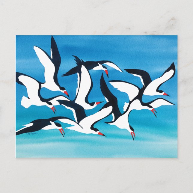 Carte Postale Survoler la Surface (Devant)