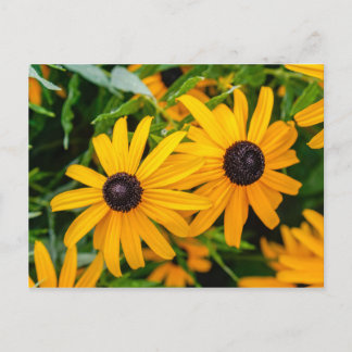 Carte postale - Susan aux yeux noirs
