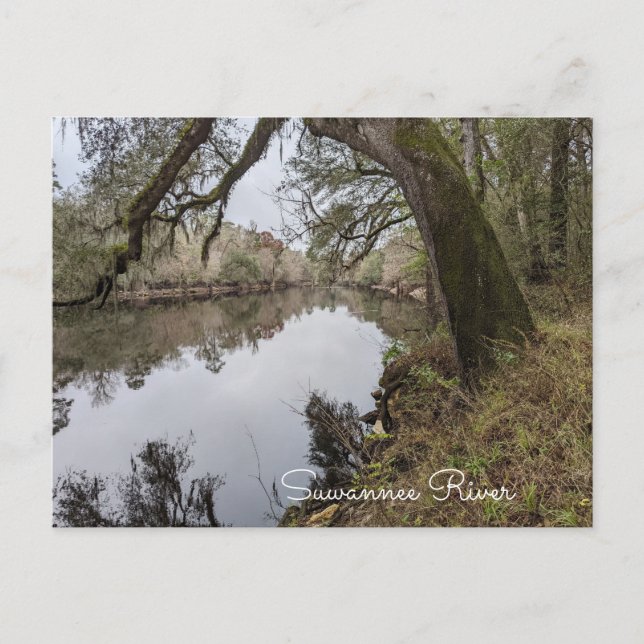 Carte postale Suwannee River (Devant)