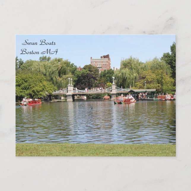 Carte Postale Swan Boats, Boston, MA, photographie (Devant)