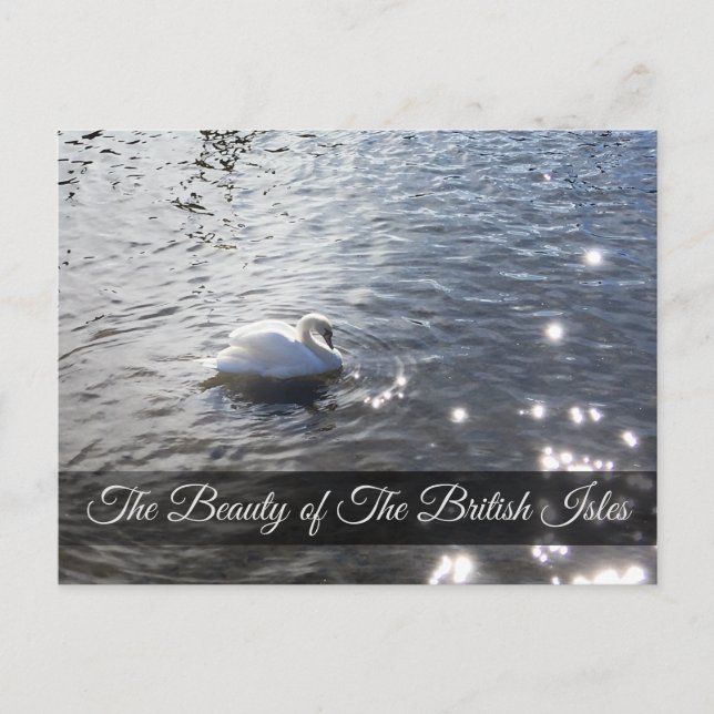 Carte postale Swan Lake District (Devant)