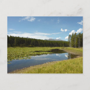Carte Postale Swan Lake I au Parc national de Grand Teton