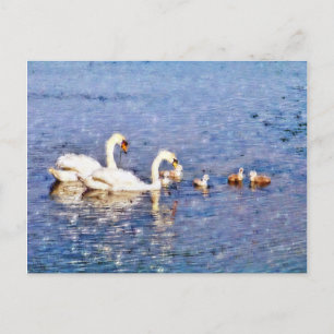 CARTE POSTALE SWANS
