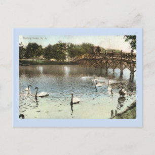 Carte Postale Swans and the Bridge, Spring Lake, NJ Vintage